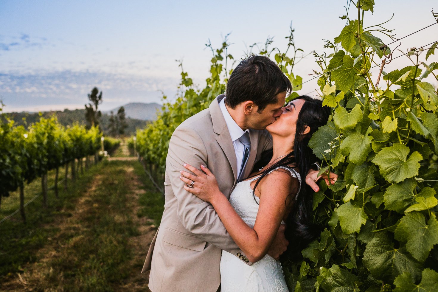 matrimonio viña casas del bosque