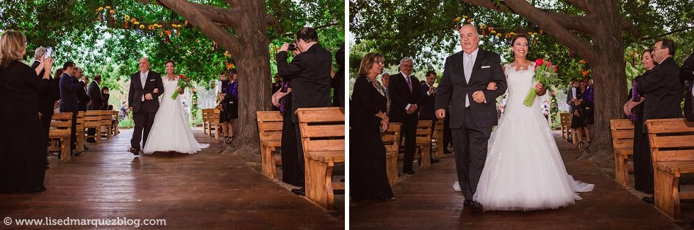 matrimonio-en-fundo-el-pangui-mapazyjose-745.jpg
