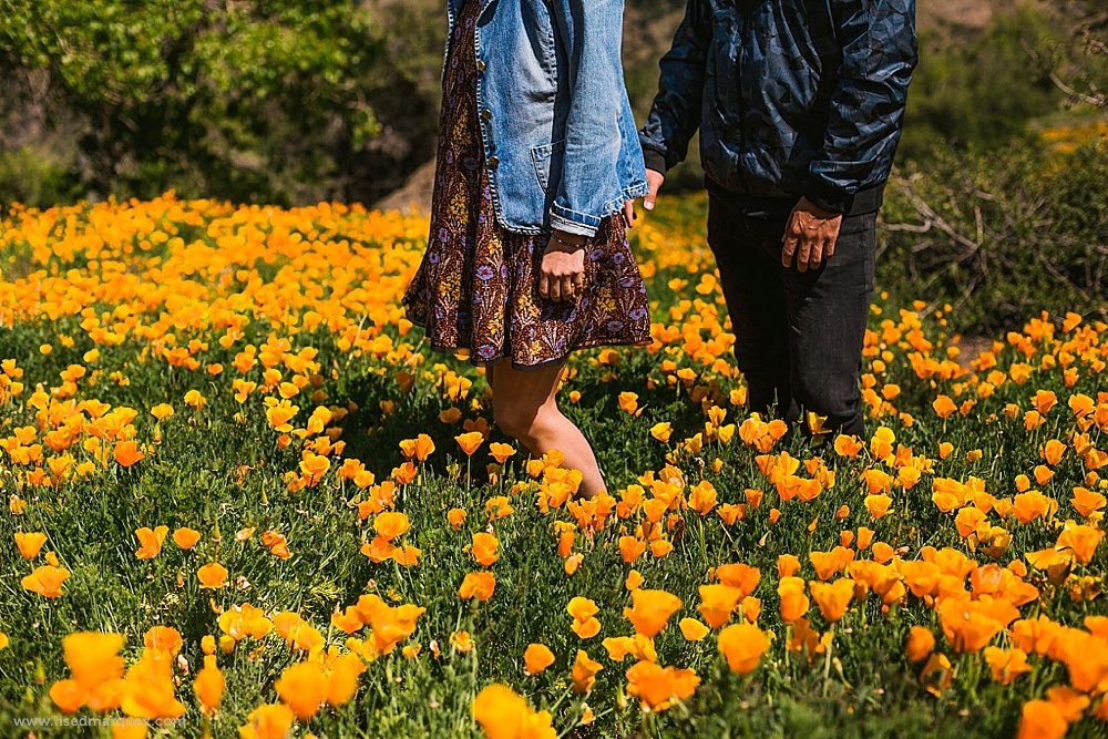 chile,engagement,engagement session,fotografo,fotografo de matrimonios,lised marquez,preboda,santuario de la naturaleza yerba loca,sesion de fotos,sesion preboda,yerba loca, 2016-10-26_0018.jpg
