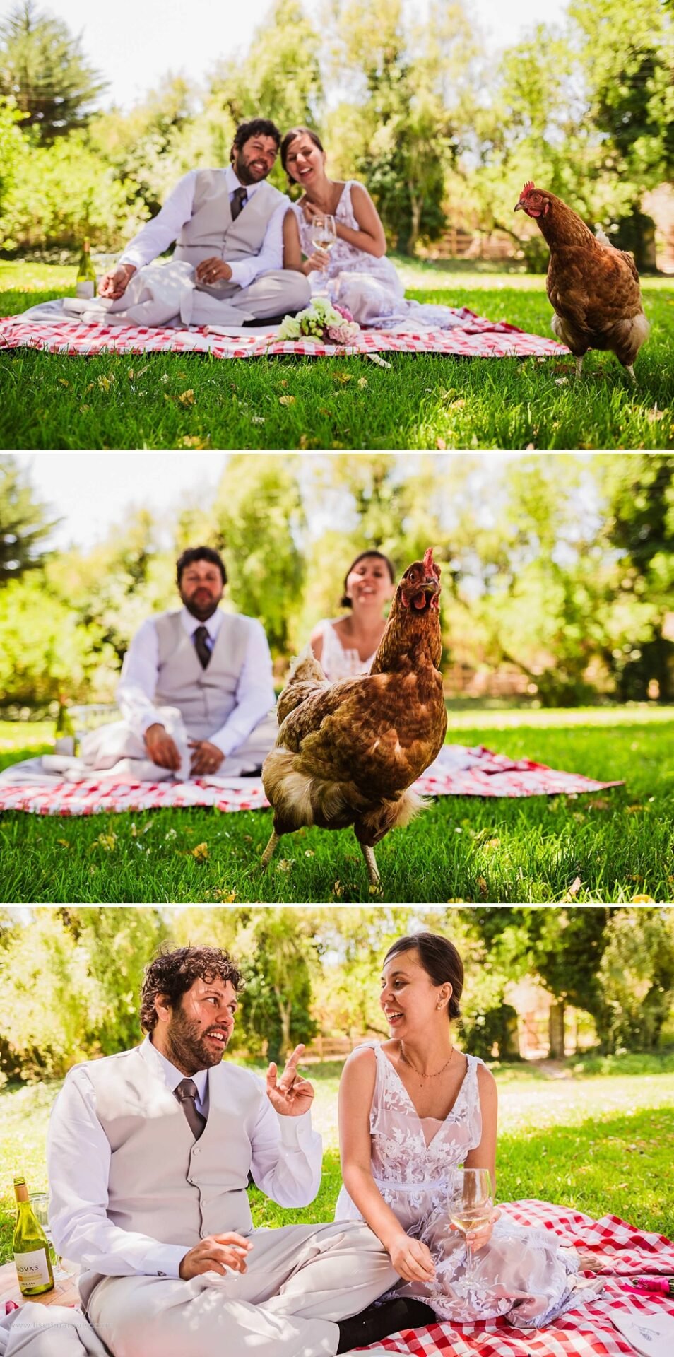 elopment-wedding-vina-emiliana-casa-blanca-chile-franythiago-45.jpg