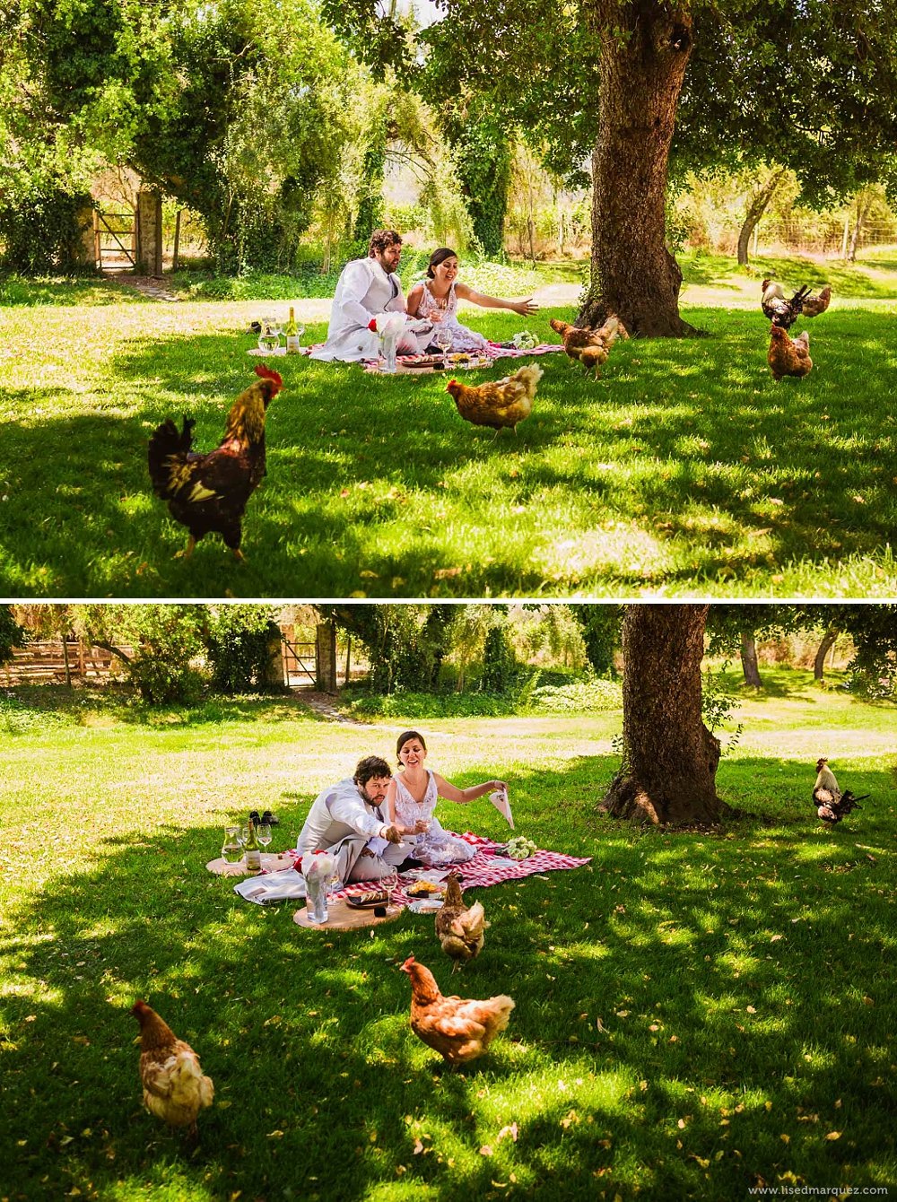 elopment-wedding-vina-emiliana-casa-blanca-chile-franythiago-48.jpg