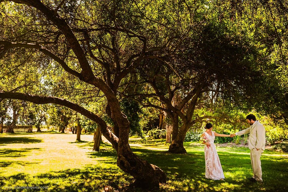 elopment-wedding-vina-emiliana-casa-blanca-chile-franythiago-53.jpg