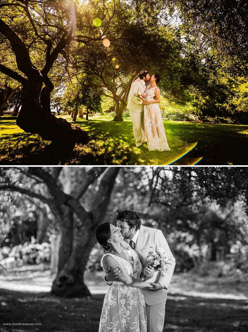 elopment-wedding-vina-emiliana-casa-blanca-chile-franythiago-55.jpg