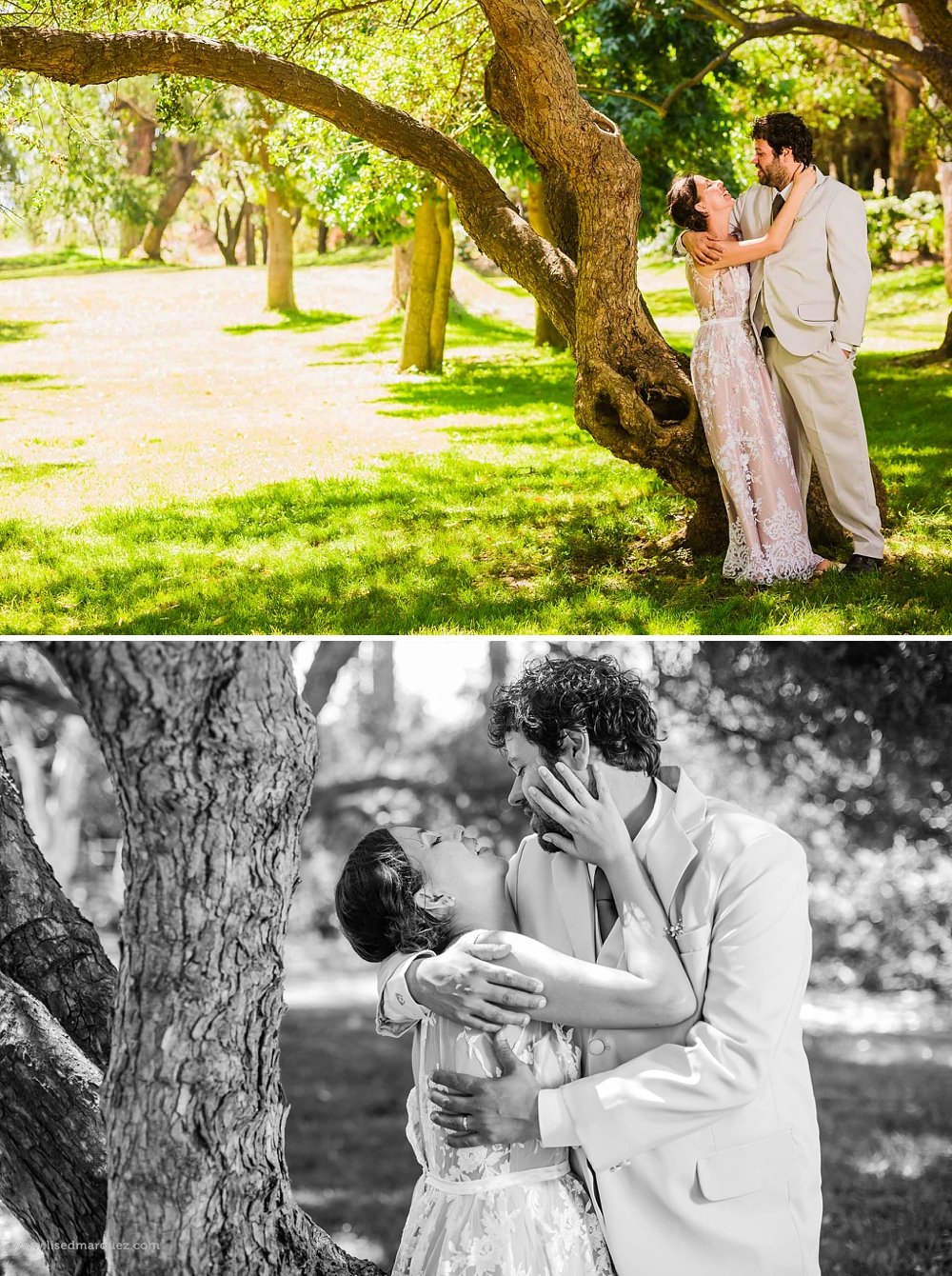 elopment-wedding-vina-emiliana-casa-blanca-chile-franythiago-62.jpg