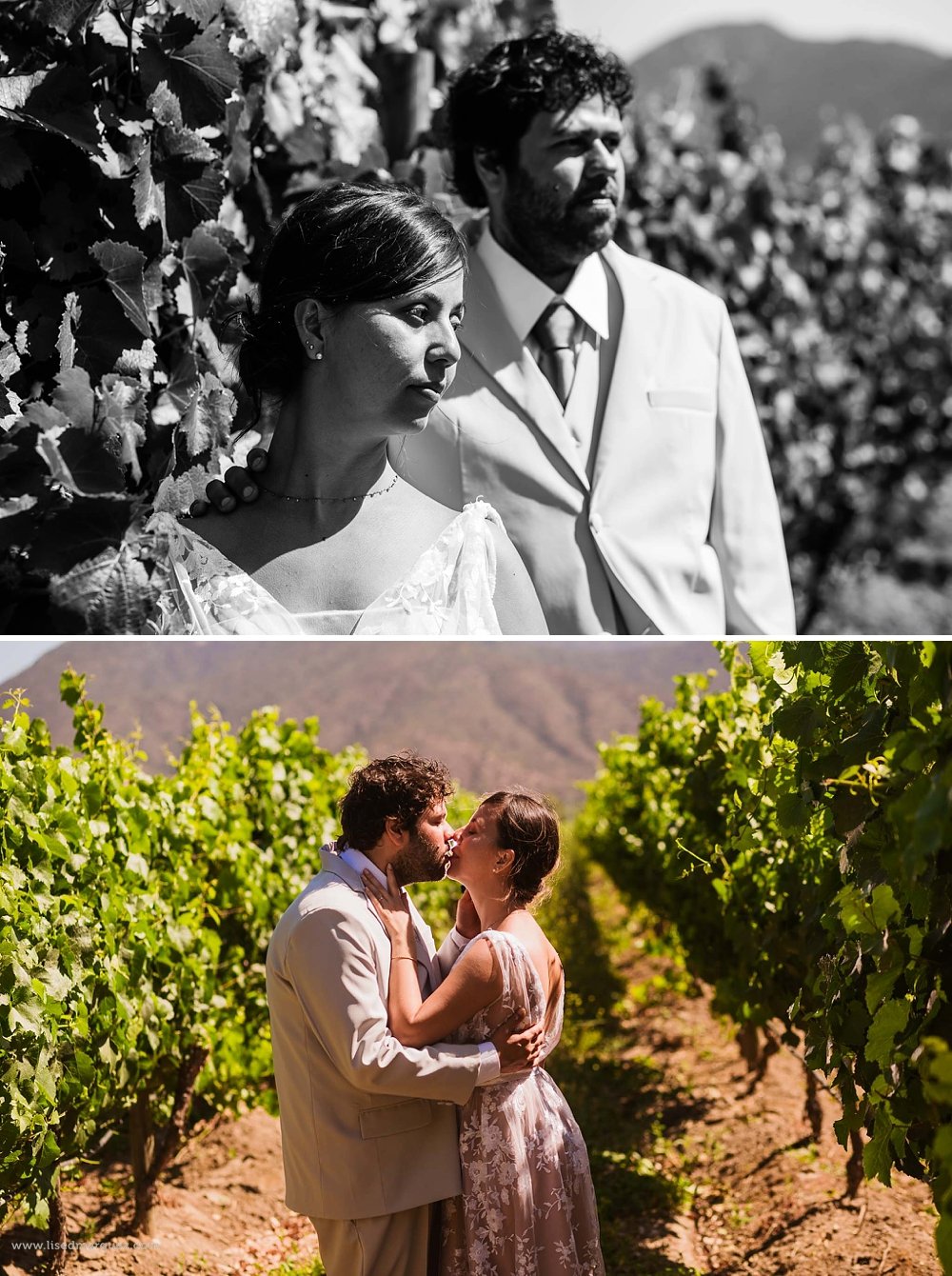 elopment-wedding-vina-emiliana-casa-blanca-chile-franythiago-82.jpg