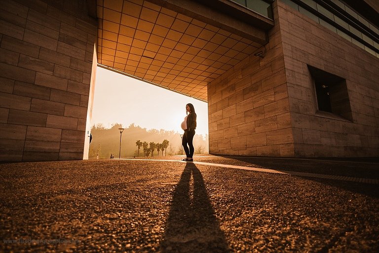 embarazada,embarazo,fotografia de embarazada,fotografia de maternidad,fotografo de embarazos,sesion de fotos de embarazo,sesion de fotos de embarazo en parque bicentenario,