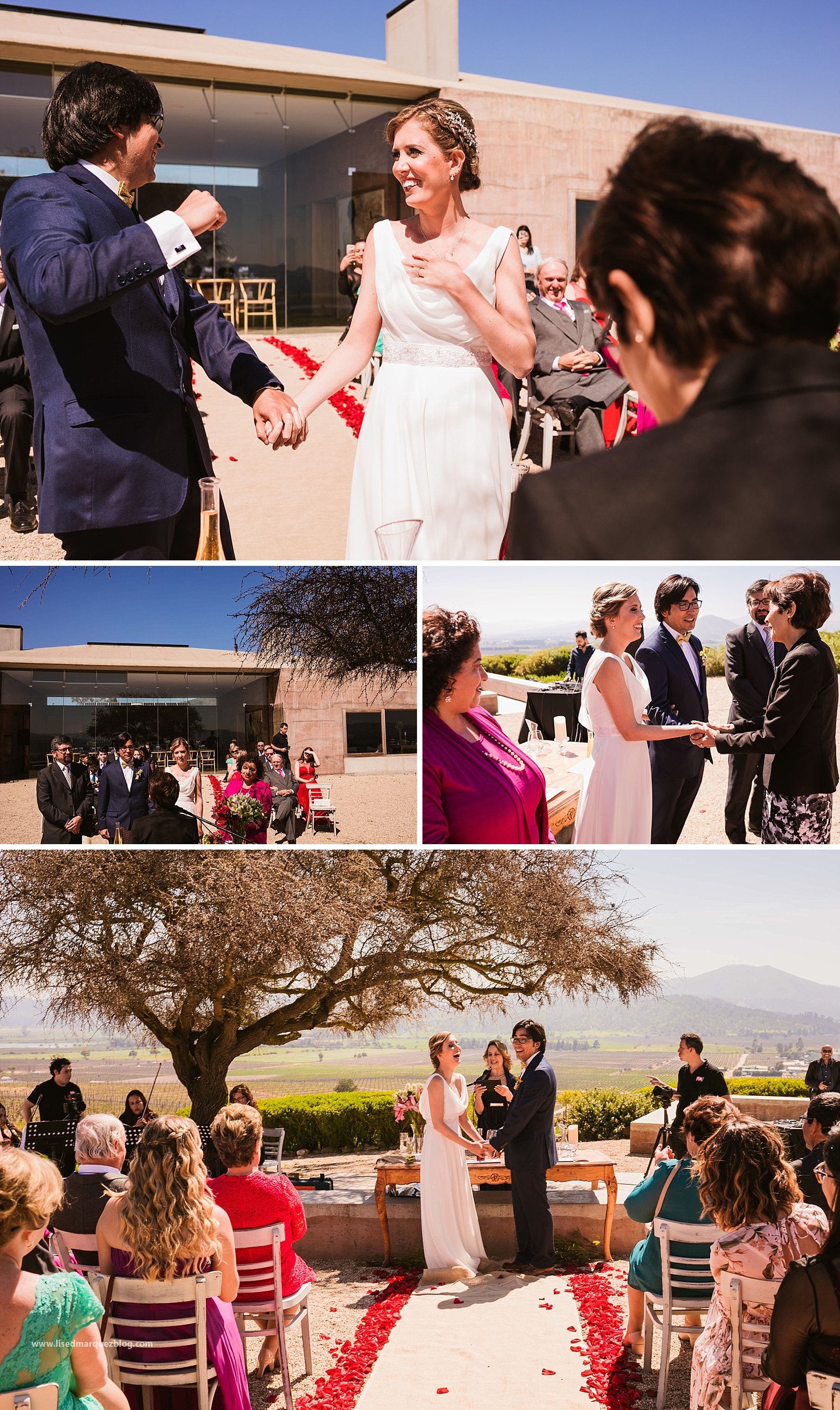 casamento no vinicola,chile,fotografo de bodas,fotografo de casamento en santiago,fotografo de matrimonios en santiago,fotos de matrimonio,lised marquez,matrimonio,matrimonio en vina casas del bosque,santiago do chile,vinicola,