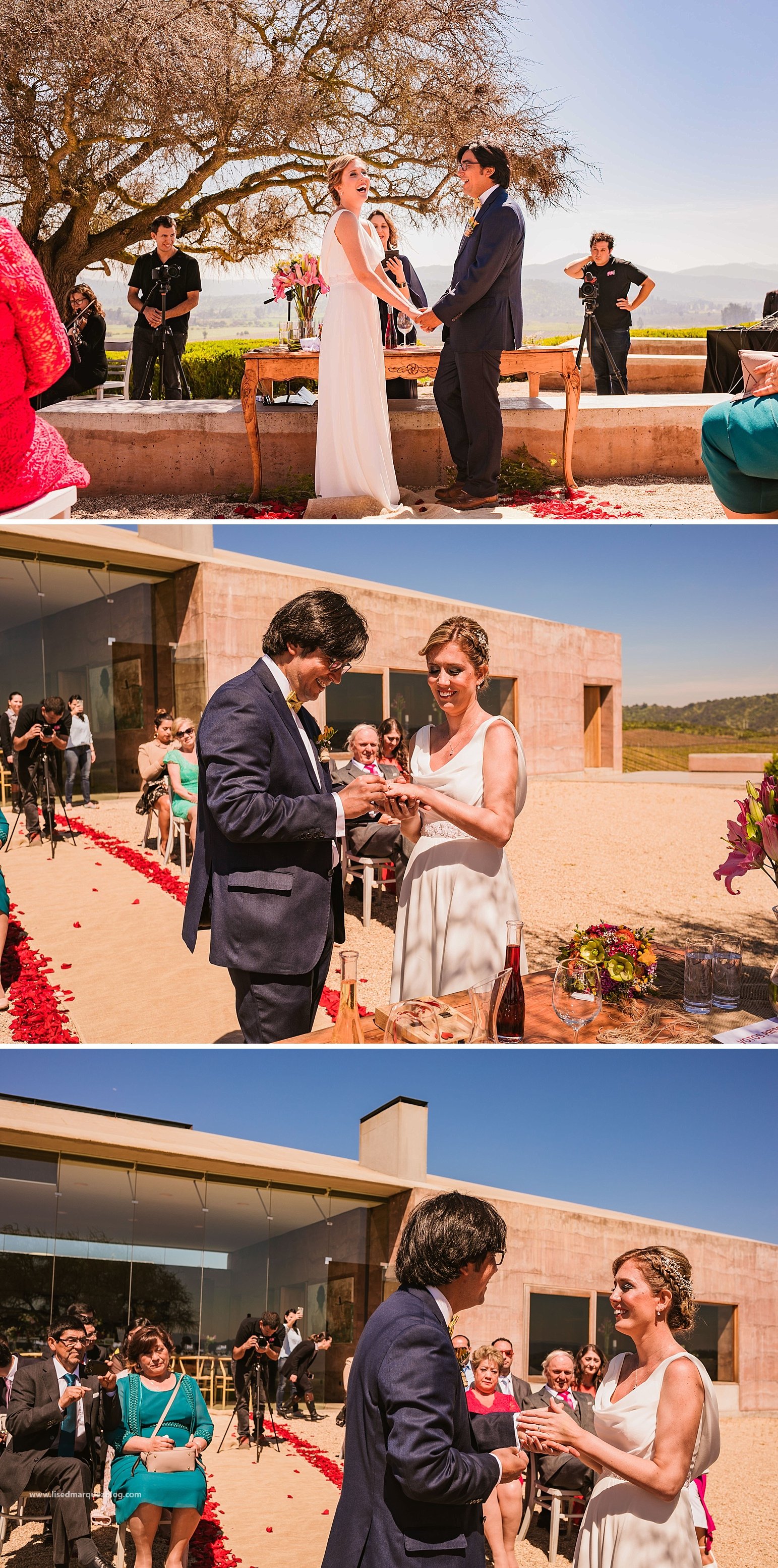 casamento no vinicola,chile,fotografo de bodas,fotografo de casamento en santiago,fotografo de matrimonios en santiago,fotos de matrimonio,lised marquez,matrimonio,matrimonio en vina casas del bosque,santiago do chile,vinicola,