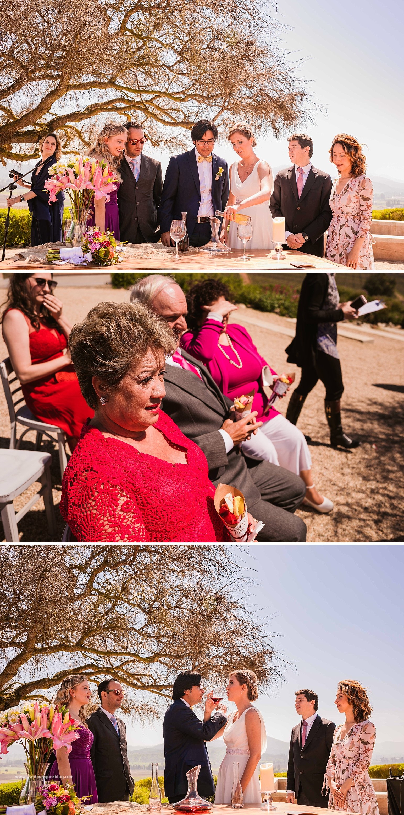 casamento no vinicola,chile,fotografo de bodas,fotografo de casamento en santiago,fotografo de matrimonios en santiago,fotos de matrimonio,lised marquez,matrimonio,matrimonio en vina casas del bosque,santiago do chile,vinicola,
