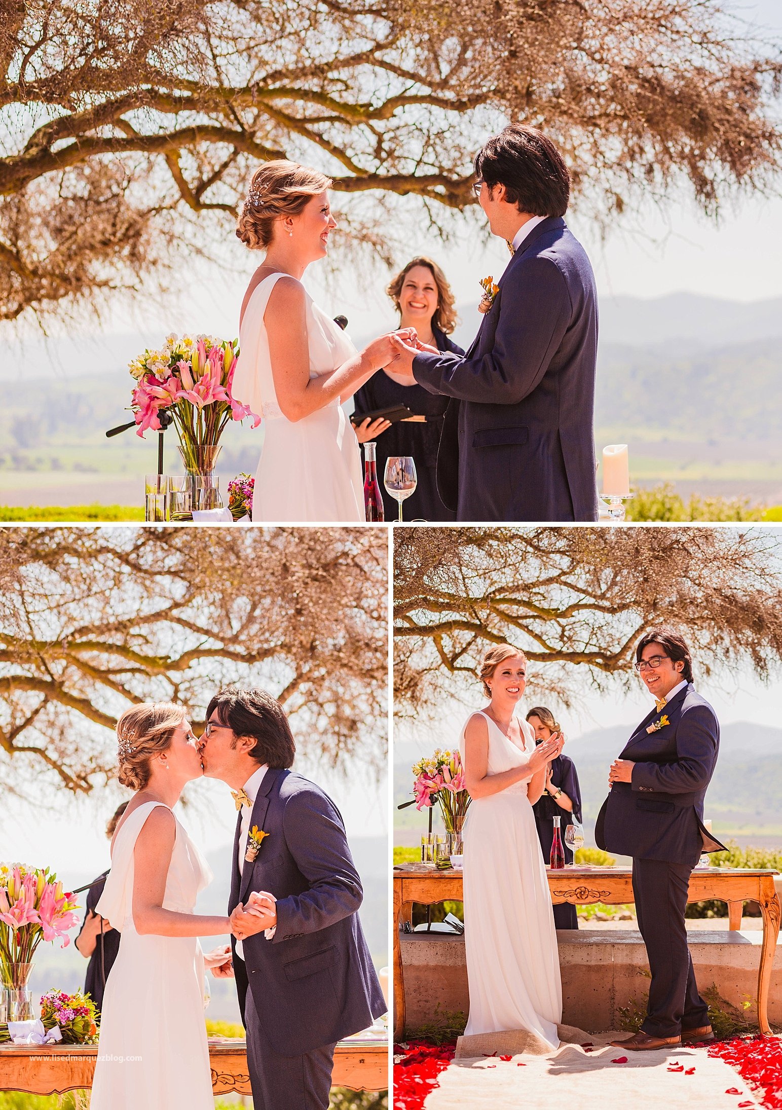 casamento no vinicola,chile,fotografo de bodas,fotografo de casamento en santiago,fotografo de matrimonios en santiago,fotos de matrimonio,lised marquez,matrimonio,matrimonio en vina casas del bosque,santiago do chile,vinicola,