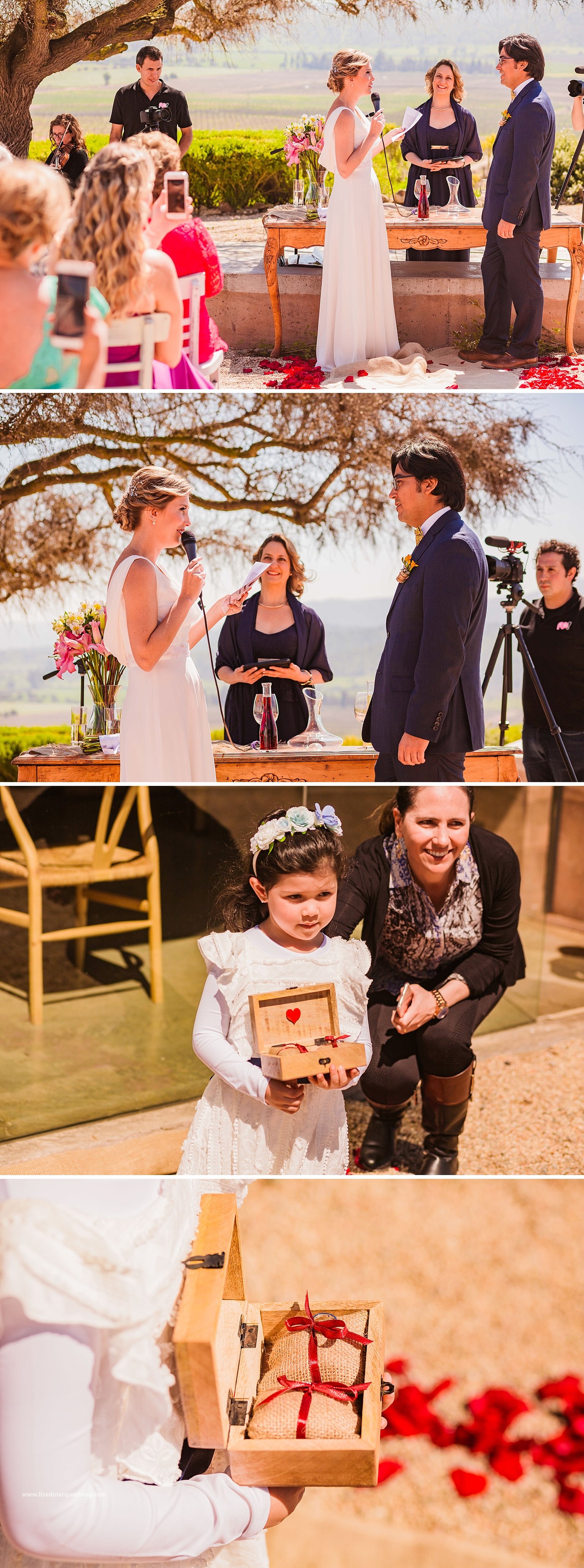 casamento no vinicola,chile,fotografo de bodas,fotografo de casamento en santiago,fotografo de matrimonios en santiago,fotos de matrimonio,lised marquez,matrimonio,matrimonio en vina casas del bosque,santiago do chile,vinicola,