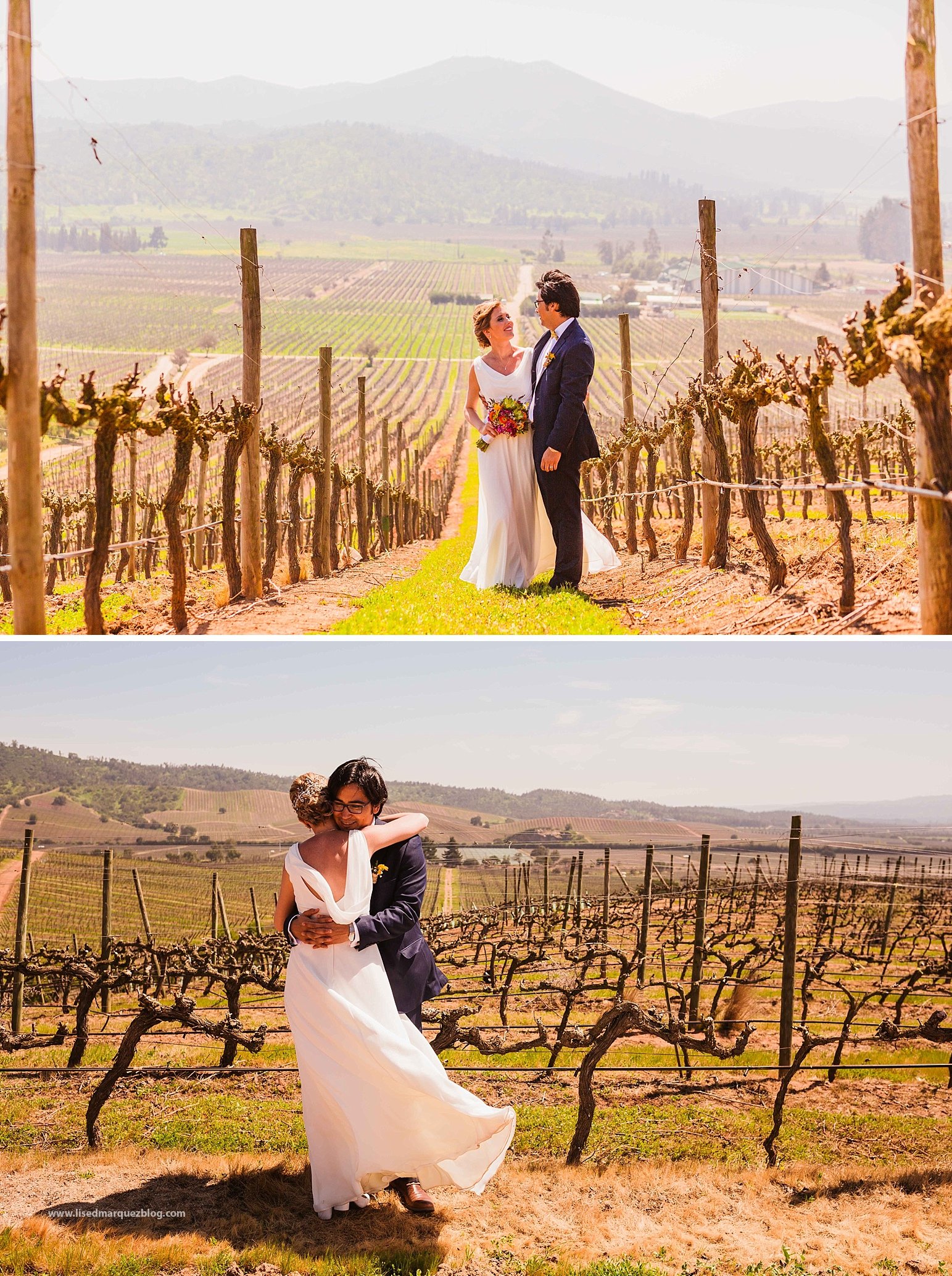 casamento no vinicola,chile,fotografo de bodas,fotografo de casamento en santiago,fotografo de matrimonios en santiago,fotos de matrimonio,lised marquez,matrimonio,matrimonio en vina casas del bosque,santiago do chile,vinicola,