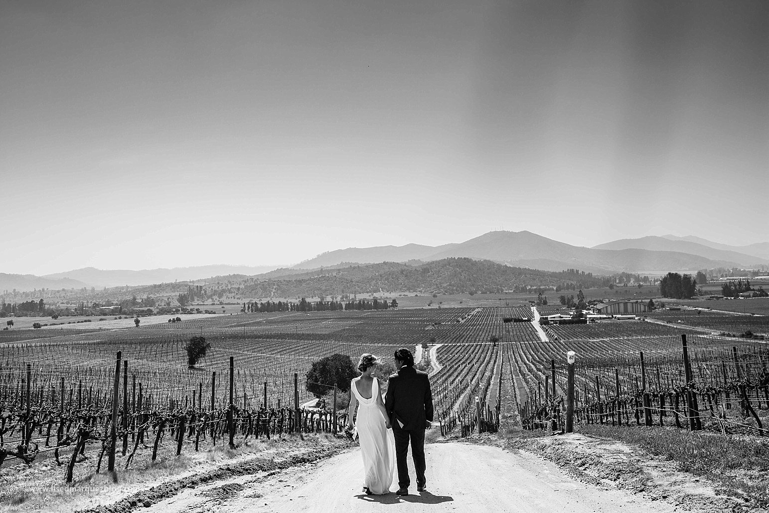casamento no vinicola,chile,fotografo de bodas,fotografo de casamento en santiago,fotografo de matrimonios en santiago,fotos de matrimonio,lised marquez,matrimonio,matrimonio en vina casas del bosque,santiago do chile,vinicola,
