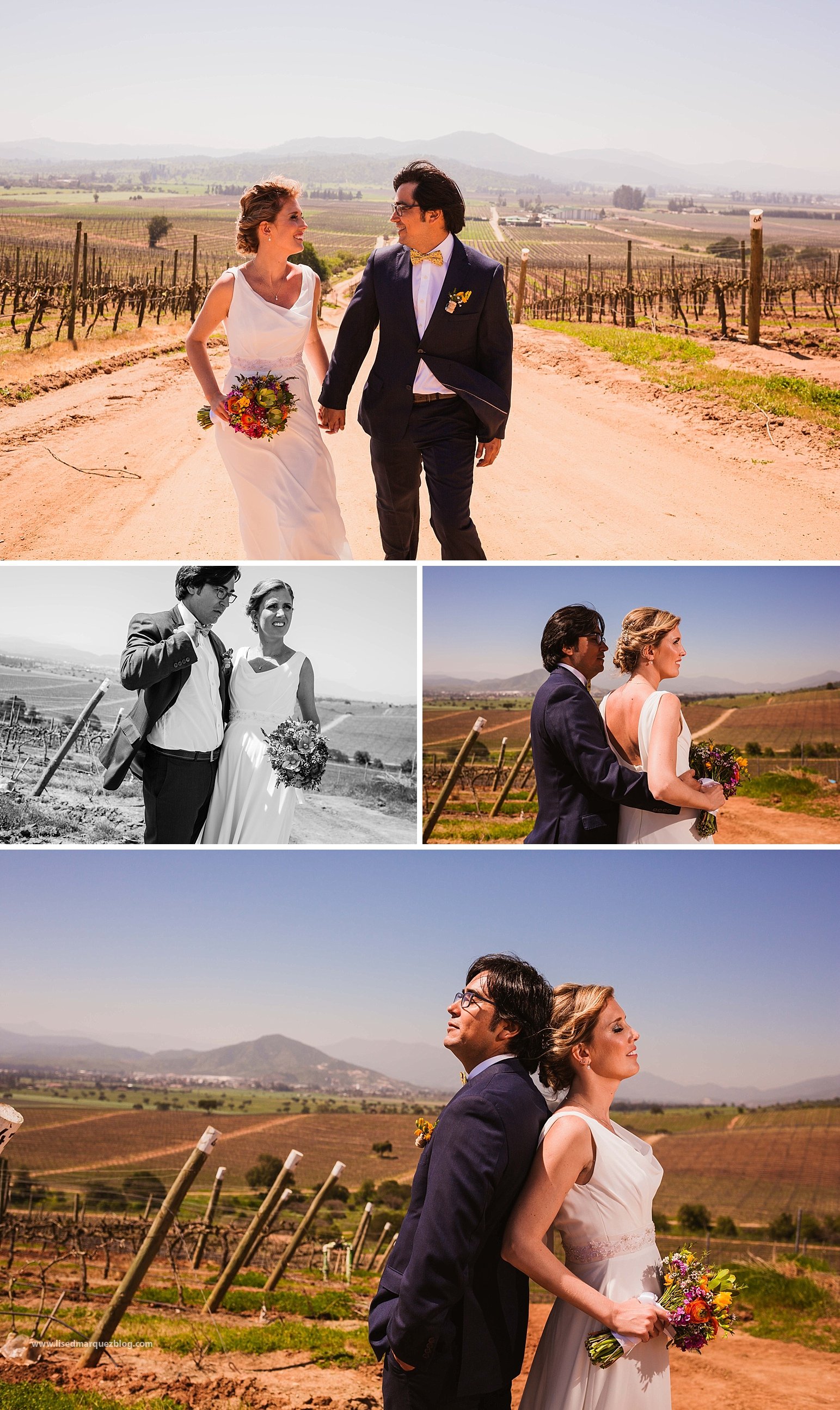 casamento no vinicola,chile,fotografo de bodas,fotografo de casamento en santiago,fotografo de matrimonios en santiago,fotos de matrimonio,lised marquez,matrimonio,matrimonio en vina casas del bosque,santiago do chile,vinicola,