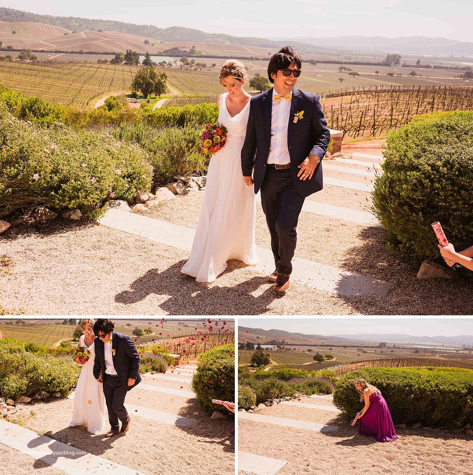casamento no vinicola,chile,fotografo de bodas,fotografo de casamento en santiago,fotografo de matrimonios en santiago,fotos de matrimonio,lised marquez,matrimonio,matrimonio en vina casas del bosque,santiago do chile,vinicola,