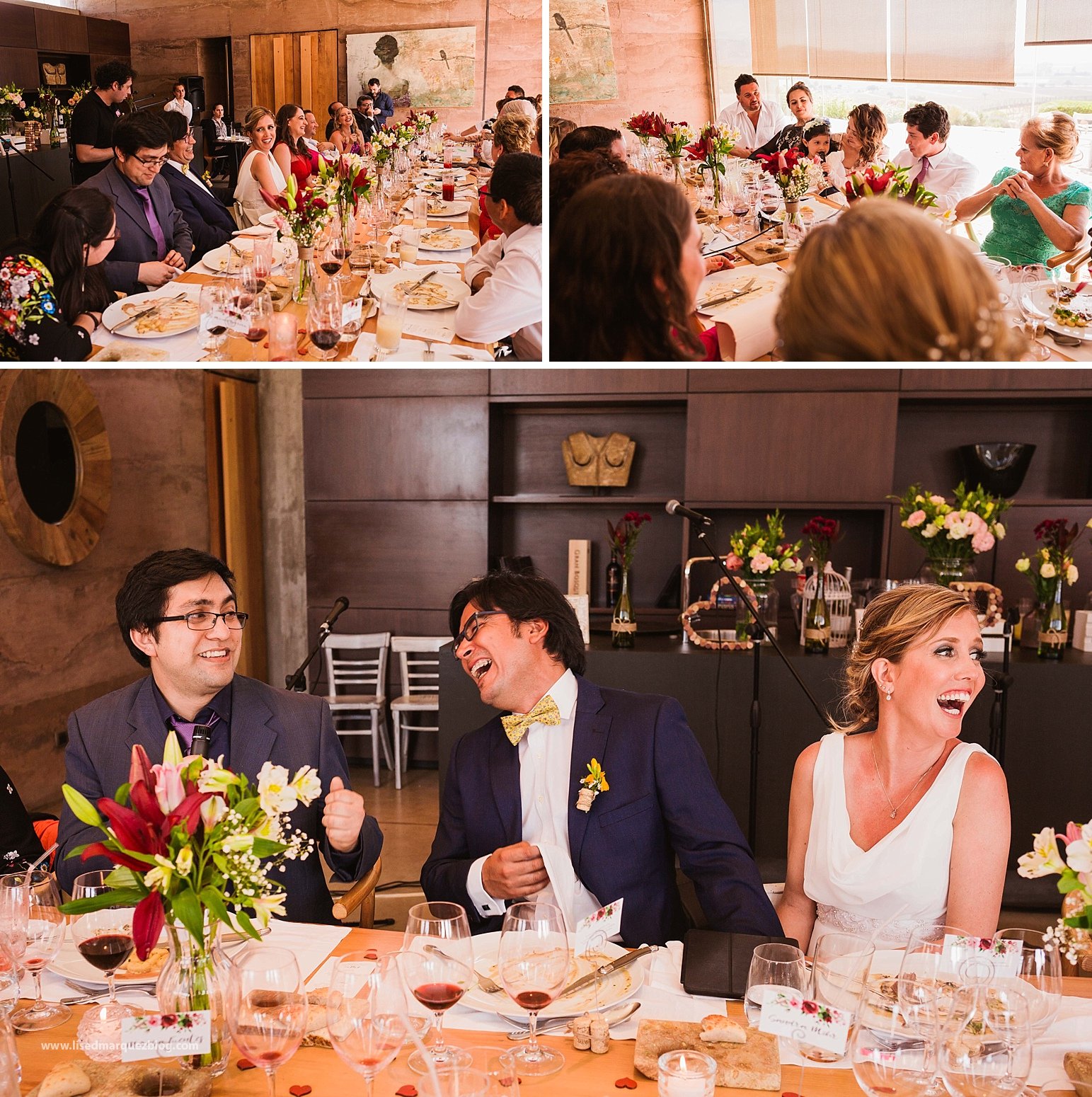 casamento no vinicola,chile,fotografo de bodas,fotografo de casamento en santiago,fotografo de matrimonios en santiago,fotos de matrimonio,lised marquez,matrimonio,matrimonio en vina casas del bosque,santiago do chile,vinicola,