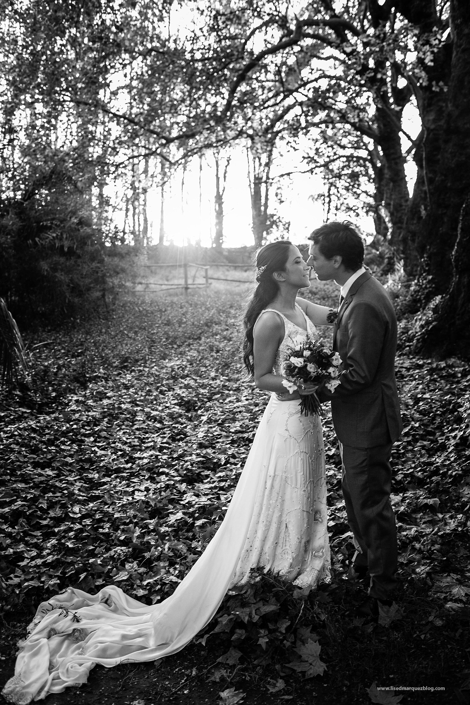 boda,casona calicanto,chile,fotografia de matrimonios,fotografo de bodas,fotografo de matrimonios,fotografo profesional,fotos de bodas,fotos de matrimonios,matrimonio,santiago,