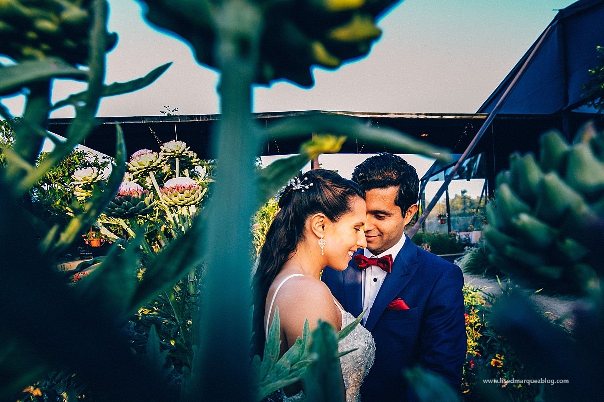 boda,casa landeta,fotografia de bodas,fotografo chile,fotografo de bodas,fotografo profesional,la marqueza,lised marquez,matrimonio,matrimonio en casa landeta, boda,casa landeta,fotografia de bodas,fotografo chile,fotografo de bodas,fotografo profesional,la marqueza,lised marquez,matrimonio,matrimonio en casa landeta,