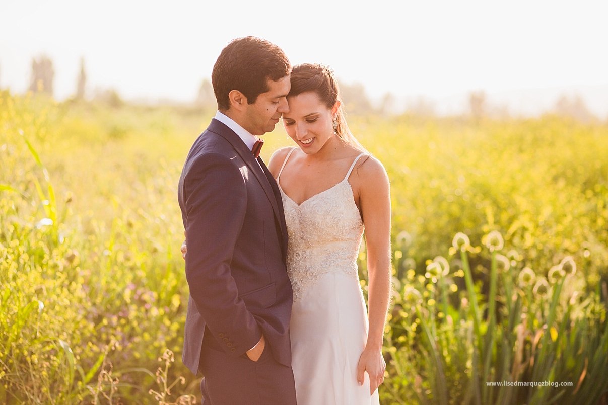 boda,casa landeta,fotografia de bodas,fotografo chile,fotografo de bodas,fotografo profesional,la marqueza,lised marquez,matrimonio,matrimonio en casa landeta, boda,casa landeta,fotografia de bodas,fotografo chile,fotografo de bodas,fotografo profesional,la marqueza,lised marquez,matrimonio,matrimonio en casa landeta,