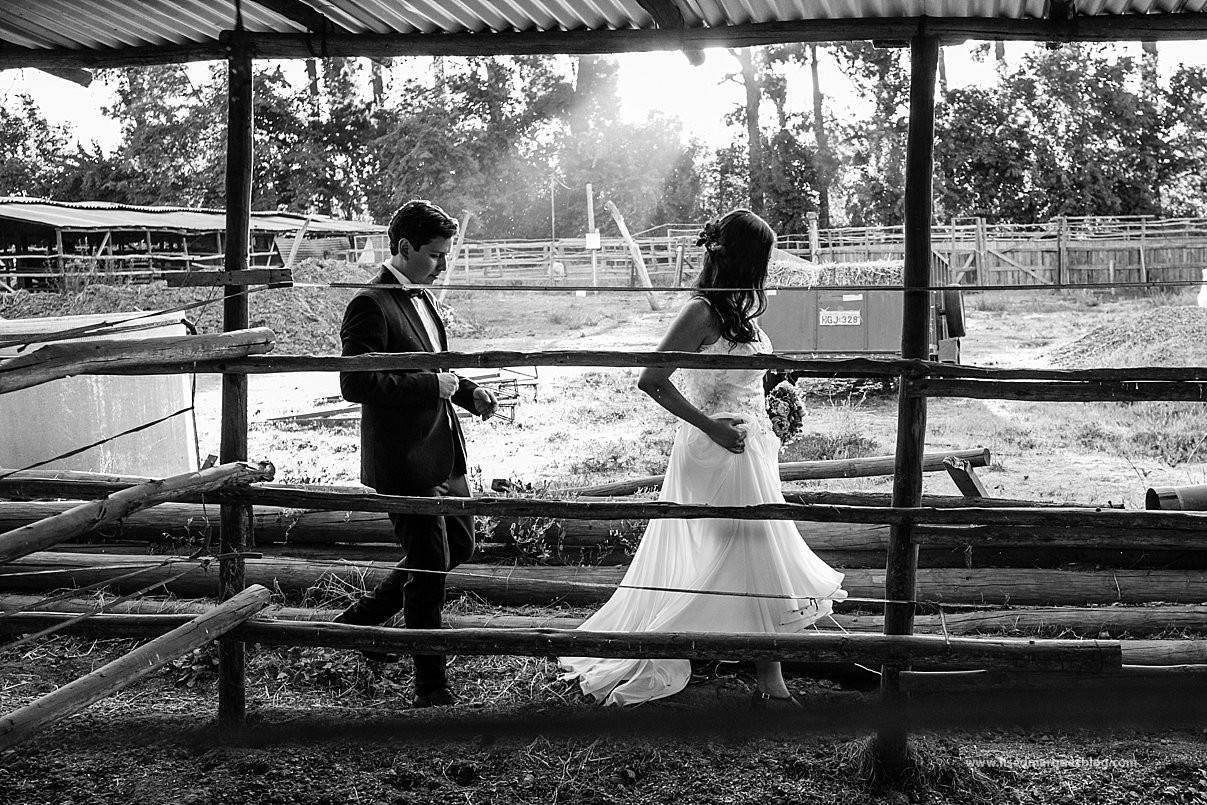 boda,casamiento,fotografo de bodas,fotografo de matrimonios,fotografo de matrimonios chile,fotografo santiago,matrimonio,matrimonio en centro ecuestre de pirque,matrimonio lised marquez, boda,casamiento,fotografo de bodas,fotografo de matrimonios,fotografo de matrimonios chile,fotografo santiago,matrimonio,matrimonio en centro ecuestre de pirque,matrimonio lised marquez,