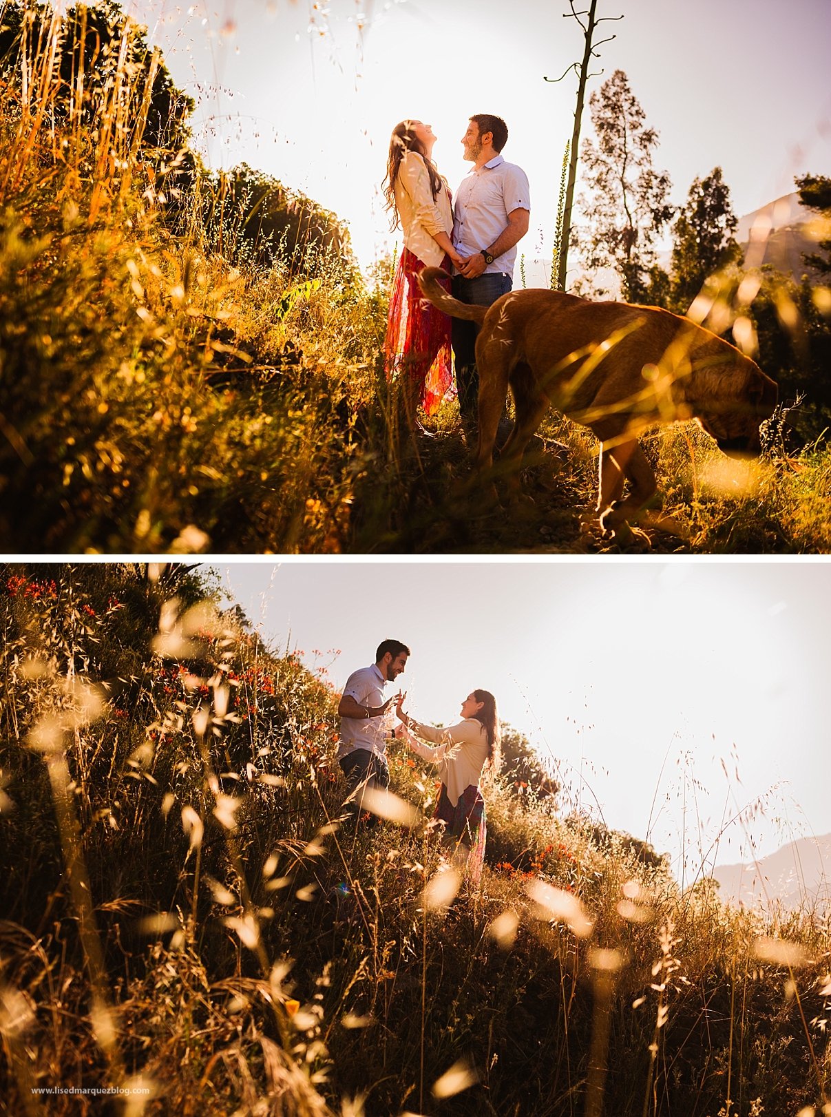 sesion-de-fotos-preboda-en-la-dehesa-nellaypablo_0125.jpg sesion-de-fotos-preboda-en-la-dehesa-nellaypablo_0125.jpg