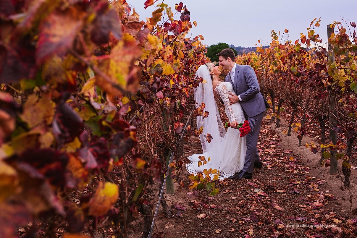 casas del bosque,destination photographer chile,destination wedding chile,elopement wedding chile,fotografo chile,fotografo de destinos chile,lised marquez,matrimonio,matrimonio en vina casas del bosque,
