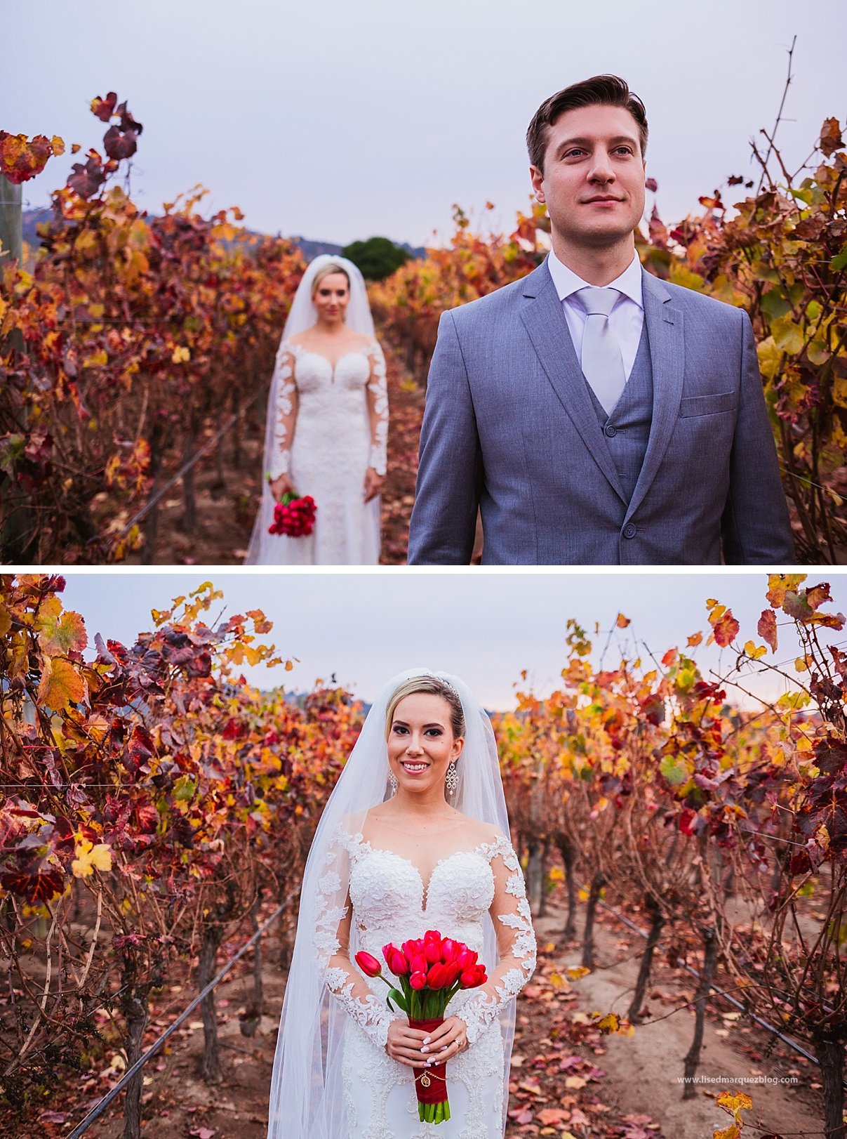 casas del bosque,destination photographer chile,destination wedding chile,elopement wedding chile,fotografo chile,fotografo de destinos chile,lised marquez,matrimonio,matrimonio en vina casas del bosque,