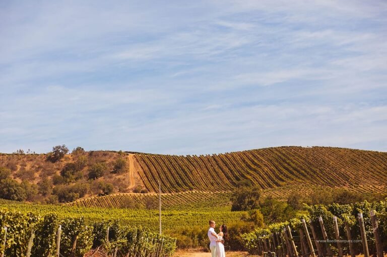 Elopement weddings in Casablanca Valley