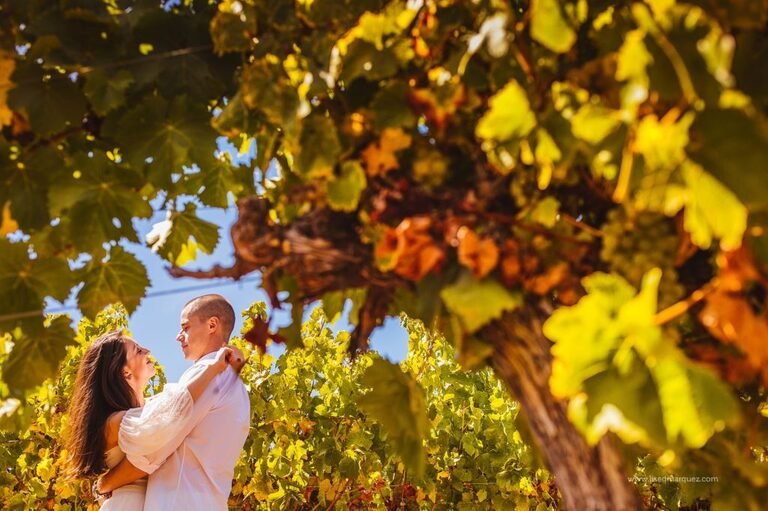Chilean vineyard elopement