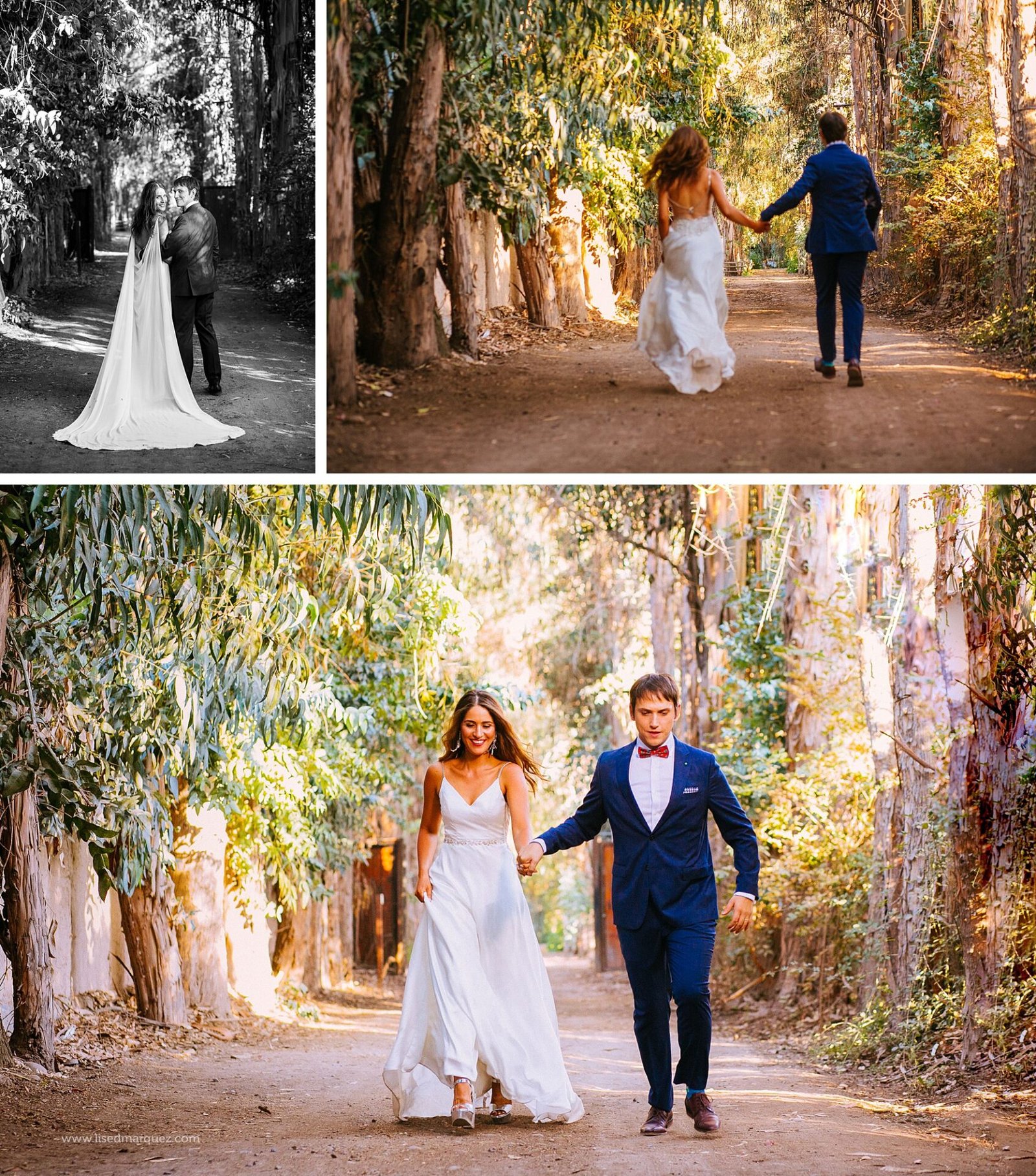 casamiento,fotografia de matrimonios,fotografo de bodas chile,fotografo de matrimonios,lised marquez,matrimonio,matrimonio iglesia de los jesuitas,matrimonio slider catamapu,