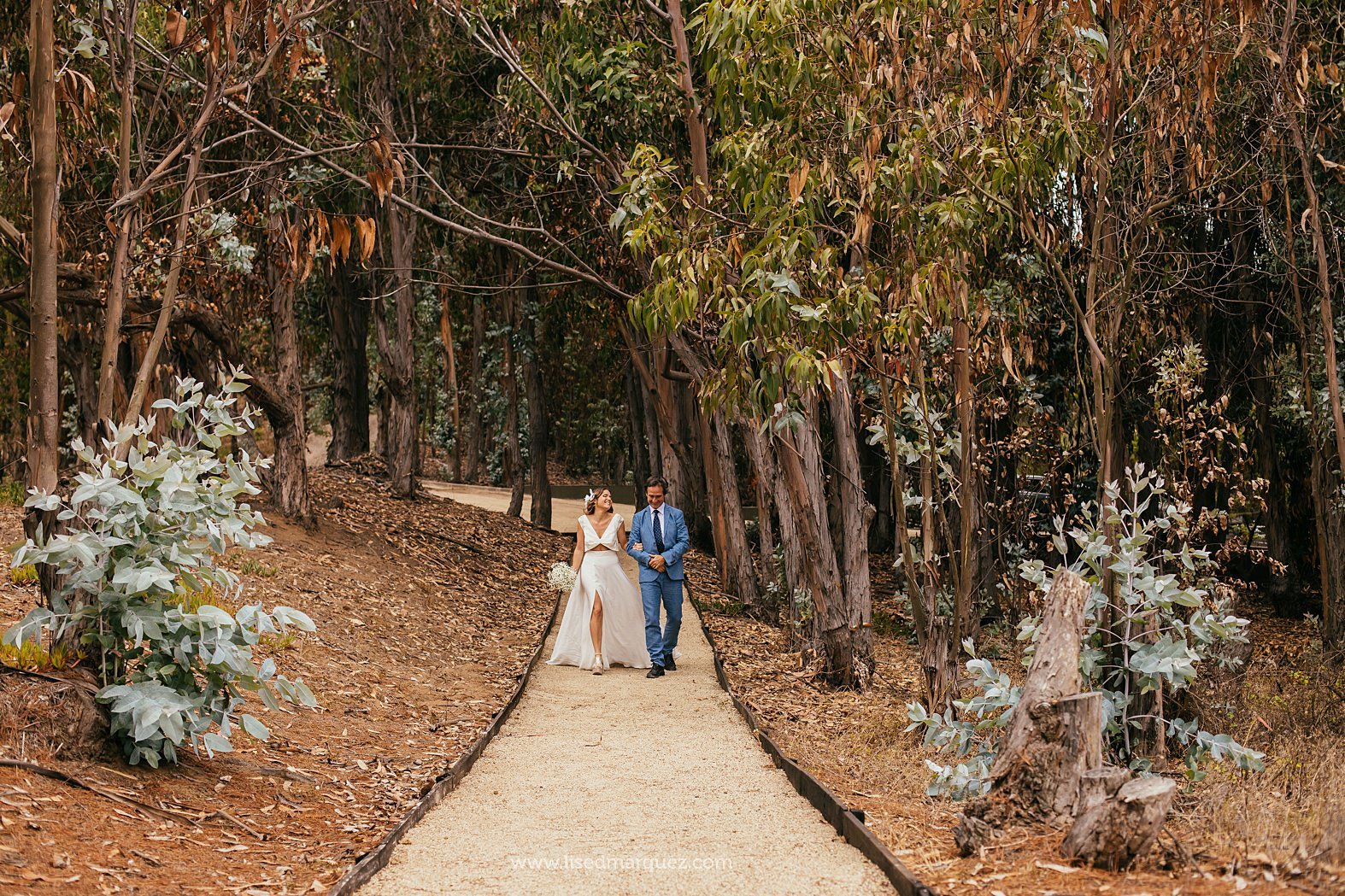 fotografia de matrimonios,fotografo,matrimonio, Matrimonio en la Playa, Punta los Lunes, Puchuncavi