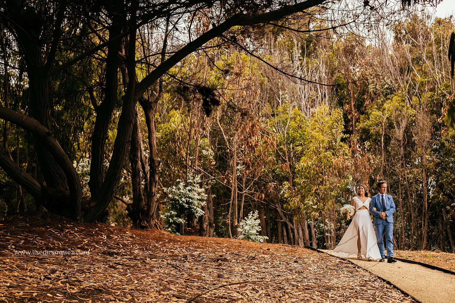 fotografia de matrimonios,fotografo,matrimoio,