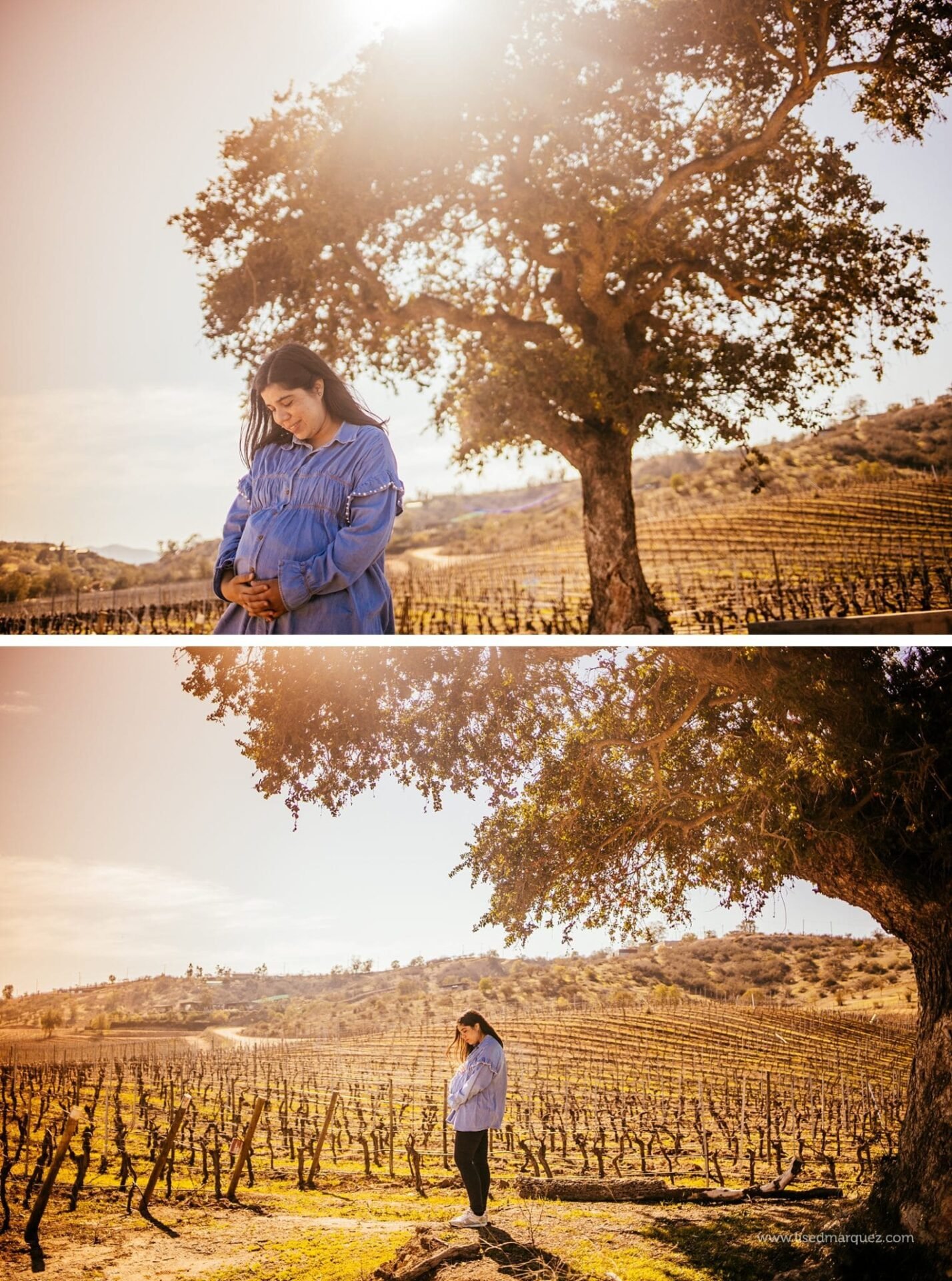 fotografo de embarazadas,sesion de embarazo,sesion de fotos de embarazada,sesion de fotos para embarazada,sesion de maternidad,sesion fotografica de embarazada,